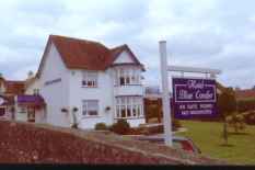 Blue Conifer B&B,  Torquay